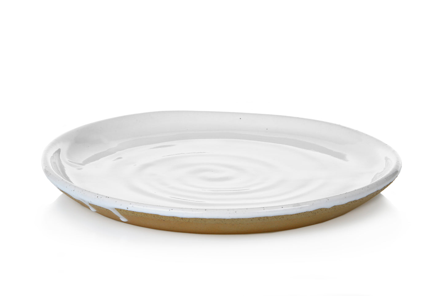 Earth Lunch Plate