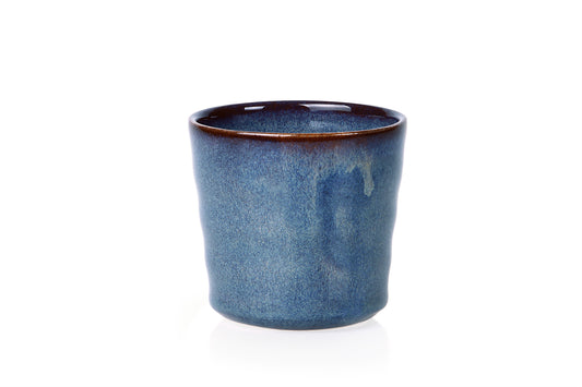 Temuka Tumbler 220ml - Kingfisher
Side View